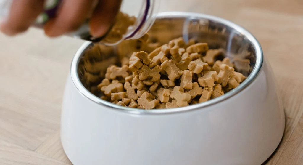 Bulldog nutrition plan with measured food portions